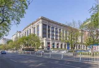 北京组培苗蓝莓苗报价